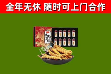 潜山回收冬虫夏草价格