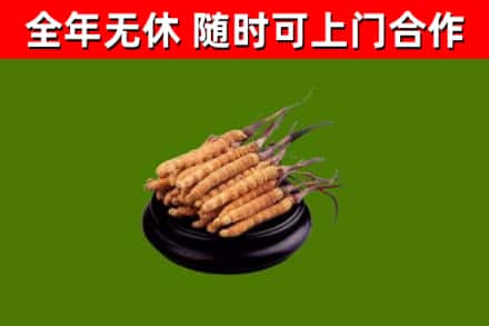 潜山烟酒回收冬虫夏草.jpg