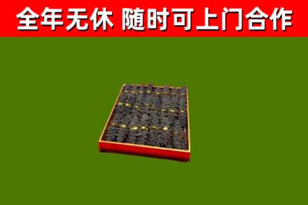 潜山回收海参